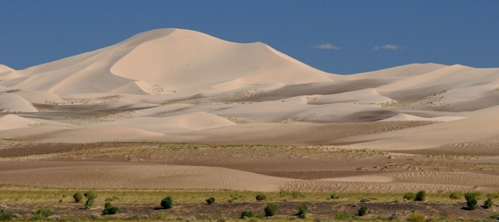 Gobi, Mongolia.