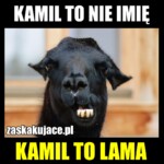 Kamil to nie imię, Kamil to lama