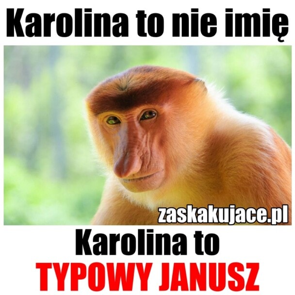 Karolina to nie imię, Karolina to Janusz