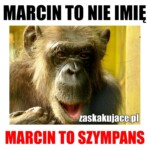 Marcin to nie imię, Marcin to szympans