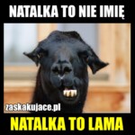 Natalka to nie imię, Natalka to lama