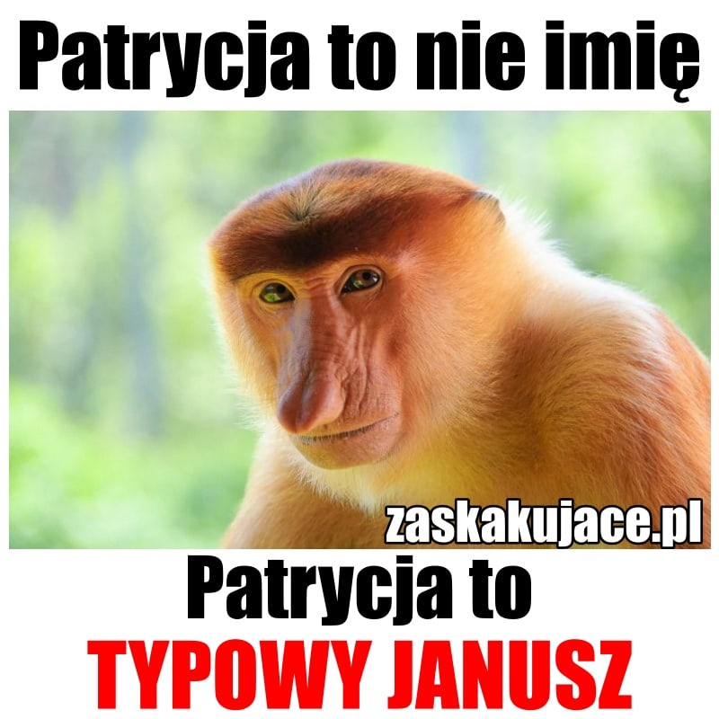 Patrycja to nie imię, Patrycja to Janusz
