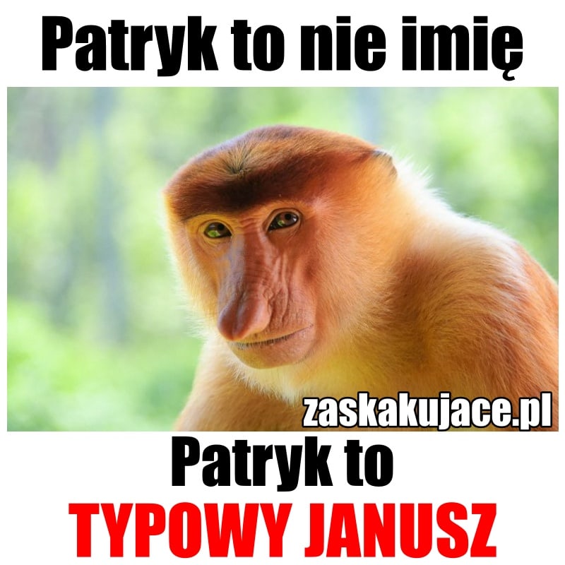 Patryk to nie imię, Patryk to Janusz