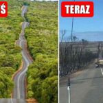 Pożary w Australii