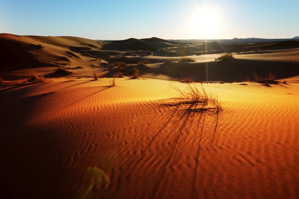 Sahara jest większa niż kontynentalne USA