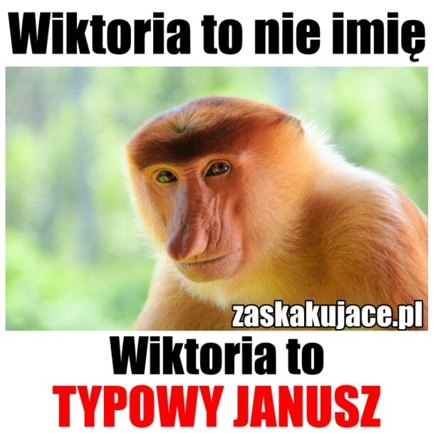 Wiktoria to nie imię, Wiktoria to Janusz