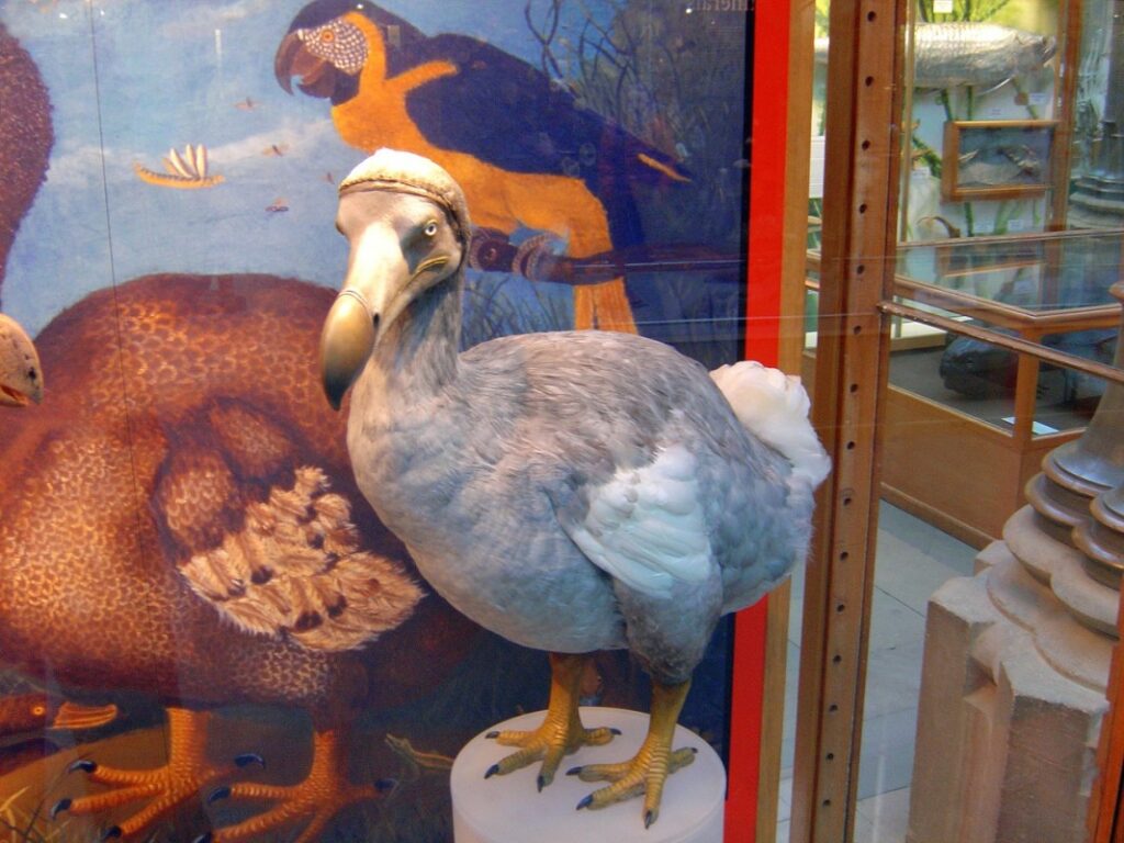 Wskrzeszanie zmarłych